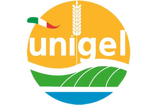 UNIGEL logo - Cremona - Modulo Engineering